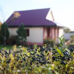 31.10.2020 Kielce. Prace w ogródkach działkowych / Wiktor Taszłow / Radio Kielce