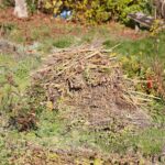 31.10.2020 Kielce. Prace w ogródkach działkowych / Wiktor Taszłow / Radio Kielce