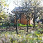 31.10.2020 Kielce. Prace w ogródkach działkowych / Wiktor Taszłow / Radio Kielce