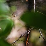 22.09.2020. Kielce. Początek kalendarzowej jesieni / Wiktor Taszłow / Radio Kielce