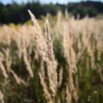 Fot. Wiktor Taszłow - Radio Kielce