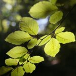 22.09.2020. Kielce. Początek kalendarzowej jesieni / Wiktor Taszłow / Radio Kielce