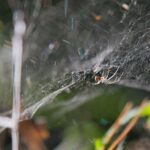 22.09.2020. Kielce. Początek kalendarzowej jesieni / Wiktor Taszłow / Radio Kielce