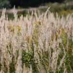 22.09.2020. Kielce. Początek kalendarzowej jesieni / Wiktor Taszłow / Radio Kielce