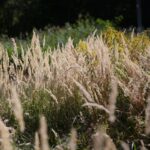 22.09.2020. Kielce. Początek kalendarzowej jesieni / Wiktor Taszłow / Radio Kielce