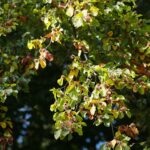 22.09.2020. Kielce. Początek kalendarzowej jesieni / Wiktor Taszłow / Radio Kielce