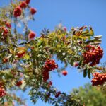 Fot. Wiktor Taszłow - Radio Kielce