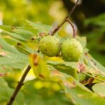 22.09.2020. Kielce. Początek kalendarzowej jesieni / Wiktor Taszłow / Radio Kielce