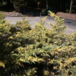 22.09.2020. Kielce. Początek kalendarzowej jesieni / Wiktor Taszłow / Radio Kielce