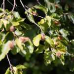 22.09.2020. Kielce. Początek kalendarzowej jesieni / Wiktor Taszłow / Radio Kielce