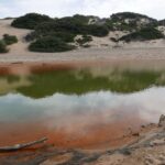 Sardynia / Danuta Rasała