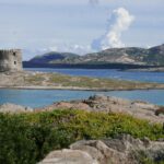 Sardynia / Danuta Rasała