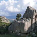 Sardynia / Danuta Rasała