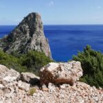 Sardynia / Danuta Rasała