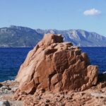 Sardynia / Danuta Rasała