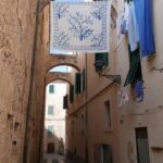 Sardynia / Danuta Rasała