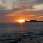 Sardynia / Danuta Rasała