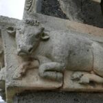 Sardynia / Danuta Rasała