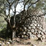 Sardynia / Danuta Rasała