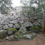 Sardynia / Danuta Rasała