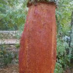 Sardynia / Danuta Rasała