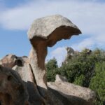 Sardynia / Danuta Rasała