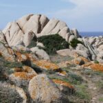 Sardynia / Danuta Rasała