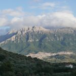 Sardynia / Danuta Rasała