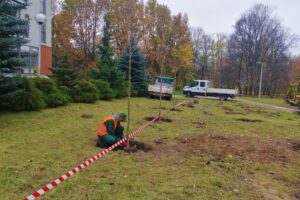 10.11.2020. Kielce. Sadzenie drzew w Parku Kielczan / RPZiUK