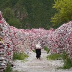 Tybet. Kham / Mariola Maćko