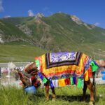 Tybet. Kham / Mariola Maćko