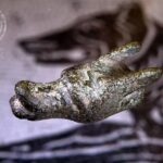 25.11.2020. Głowa wilka z brązu / Łukasz Miechowicz / archiwum prywatne