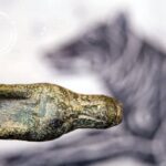 25.11.2020. Głowa wilka z brązu / Łukasz Miechowicz / archiwum prywatne