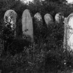 Jędrzejów. Cmentarz Żydowski / andreovia .pl