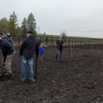 12.11.2020. Bełzów. Sadzenie drzew miododajnych / UMiG Skalbmierz