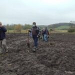 12.11.2020. Bełzów. Sadzenie drzew miododajnych / UMiG Skalbmierz