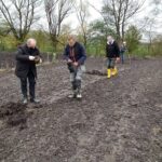 12.11.2020. Bełzów. Sadzenie drzew miododajnych / UMiG Skalbmierz