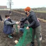 12.11.2020. Bełzów. Sadzenie drzew miododajnych / UMiG Skalbmierz