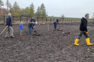 12.11.2020. Bełzów. Sadzenie drzew miododajnych / UMiG Skalbmierz