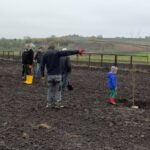 12.11.2020. Bełzów. Sadzenie drzew miododajnych / UMiG Skalbmierz