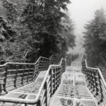 29.11.2020. Święty Krzyż. Zima na Świętym Krzyżu / Robert Felczak / Radio Kielce