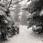 29.11.2020. Święty Krzyż. Zima na Świętym Krzyżu / Robert Felczak / Radio Kielce