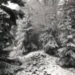 29.11.2020. Święty Krzyż. Zima na Świętym Krzyżu / Robert Felczak / Radio Kielce