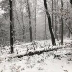 29.11.2020. Święty Krzyż. Zima na Świętym Krzyżu / Robert Felczak / Radio Kielce