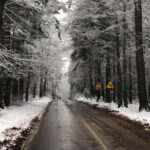 29.11.2020. Święty Krzyż. Zima na Świętym Krzyżu / Robert Felczak / Radio Kielce