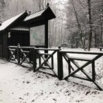 29.11.2020. Święty Krzyż. Zima na Świętym Krzyżu / Robert Felczak / Radio Kielce