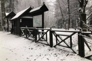 29.11.2020. Święty Krzyż. Zima na Świętym Krzyżu / Robert Felczak / Radio Kielce