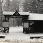 29.11.2020. Święty Krzyż. Zima na Świętym Krzyżu / Robert Felczak / Radio Kielce