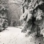 29.11.2020. Święty Krzyż. Zima na Świętym Krzyżu / Robert Felczak / Radio Kielce