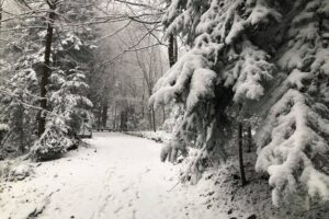 29.11.2020. Święty Krzyż. Zima na Świętym Krzyżu / Robert Felczak / Radio Kielce